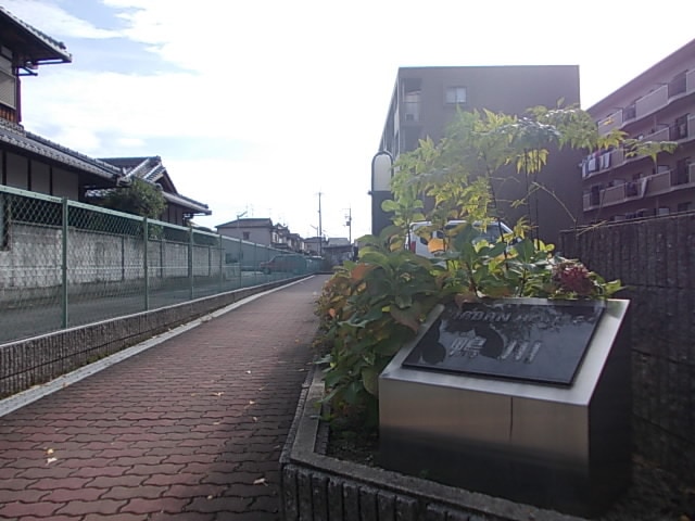 その他写真