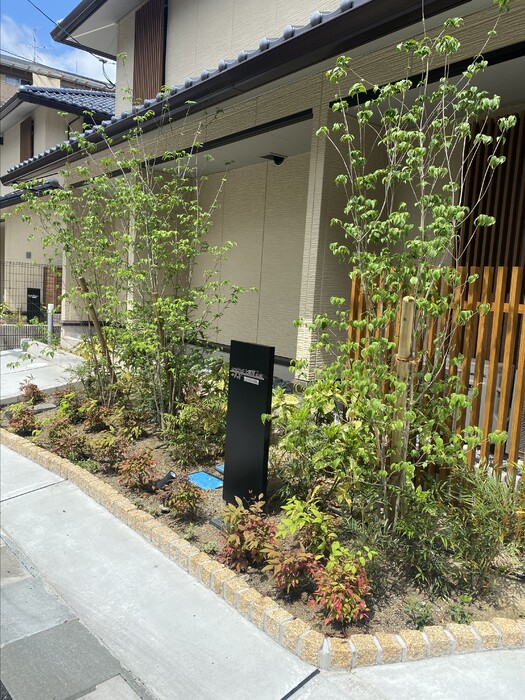その他写真