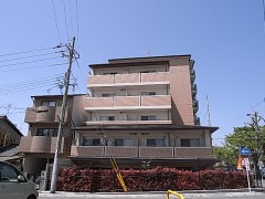 ���Ի��̶衿1K