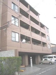 YA1743-005c