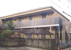 ���ԻԻ��ʶ衿1K