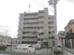 YA2593-024c