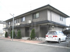 YA2745-003c