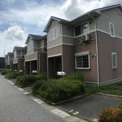 黳ԡ2DK