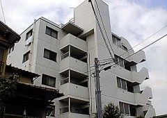 YA6529-004c