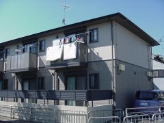 YA7785-003c