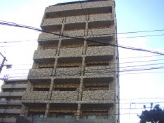 ���Ի�����衿1K