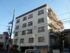 YA8245-005c