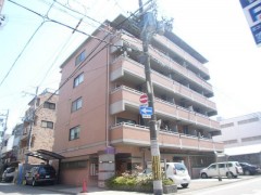 YA8485-010c